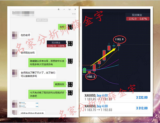 2024精准管家婆一肖一马，科学数据解释落实_基础版75.29.38