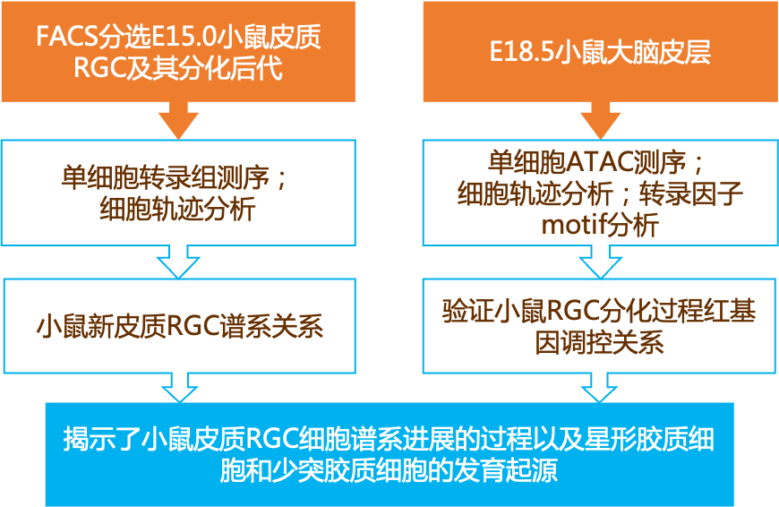 2024新澳最快最新资料，实地分析解释落实_优选版78.80.36